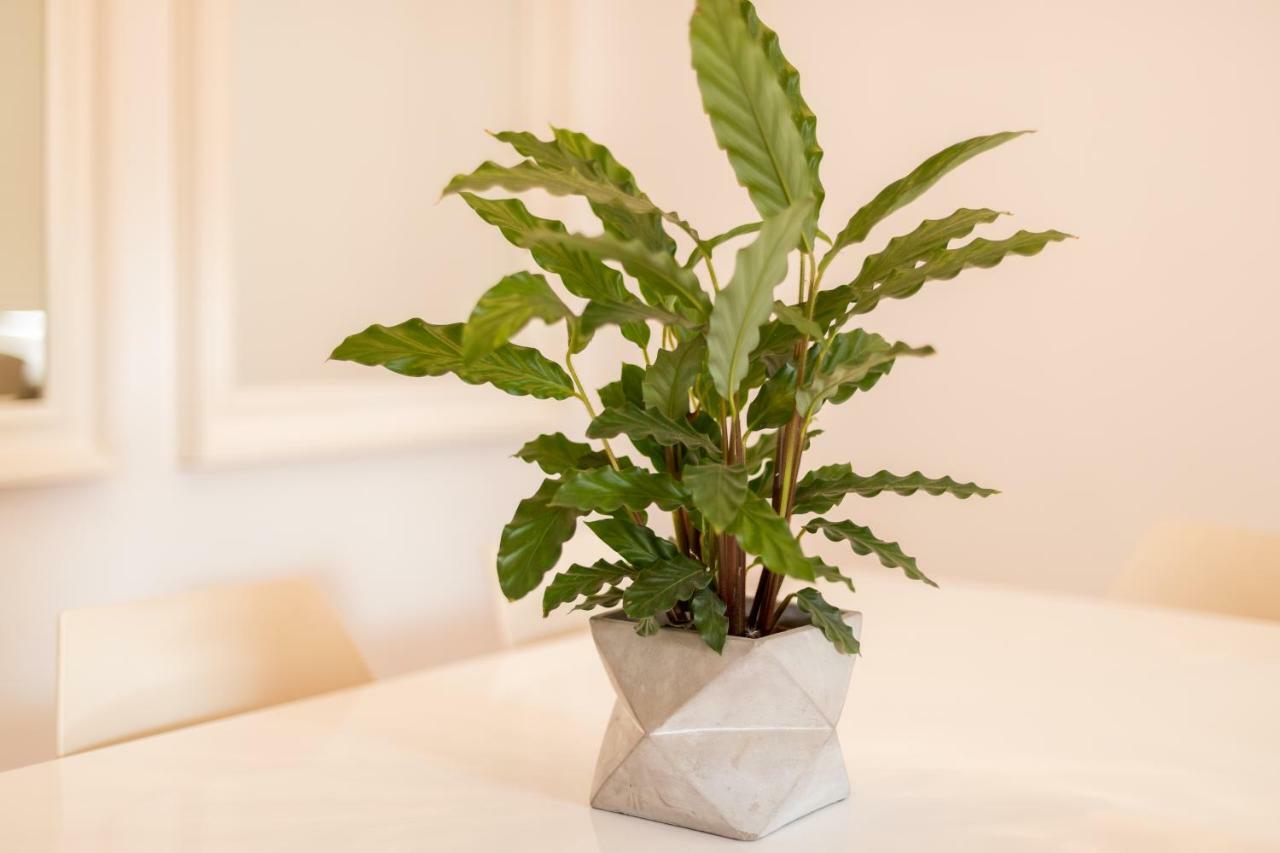Alfama Modern Two-Bedroom Apartment W/ River View And Parking - By Lu Holidays Lissabon Buitenkant foto